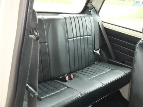 Rover Mini