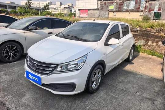 Baojun 310