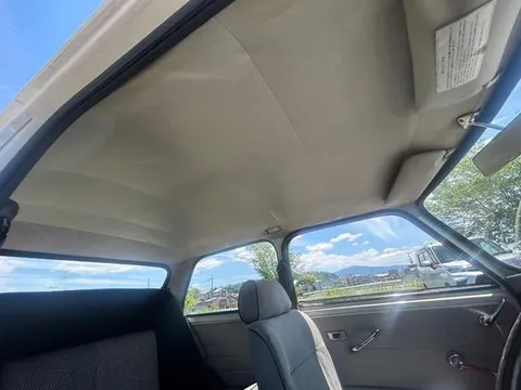 Rover Mini