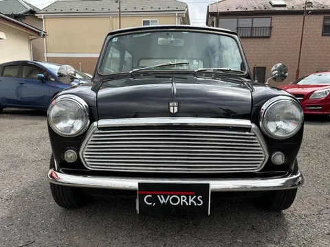Rover Mini