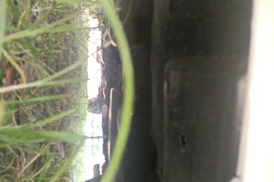 Toyota Vios FS