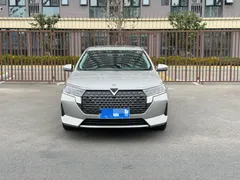 Venucia D60