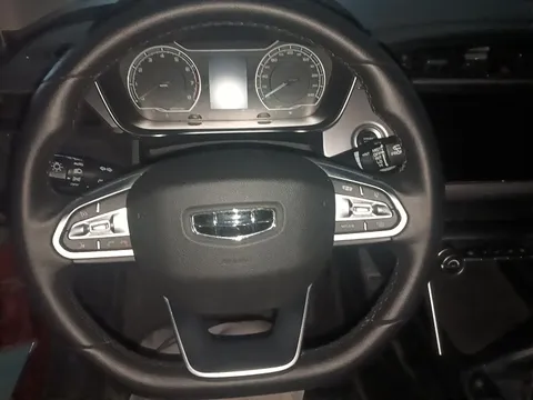Geely Binrui