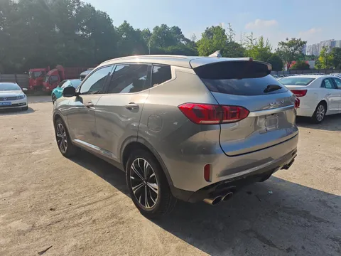 Wey VV6