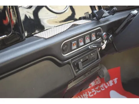 Rover Mini