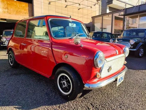 Rover Mini