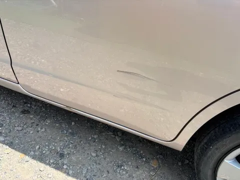 Suzuki Palette