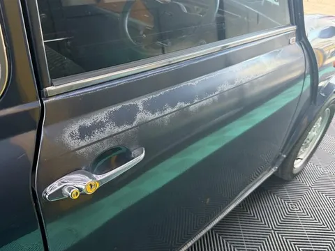 Rover Mini
