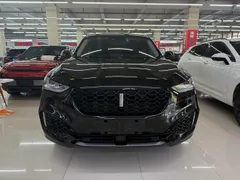 Wey VV6