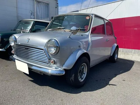 Rover Mini