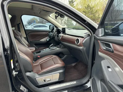 Wey VV6