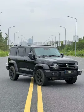Tank 300
