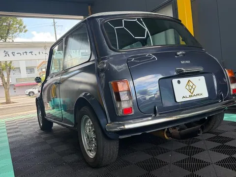 Rover Mini