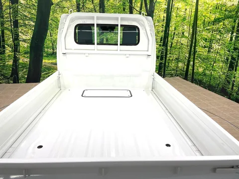 Nissan Clipper Truck