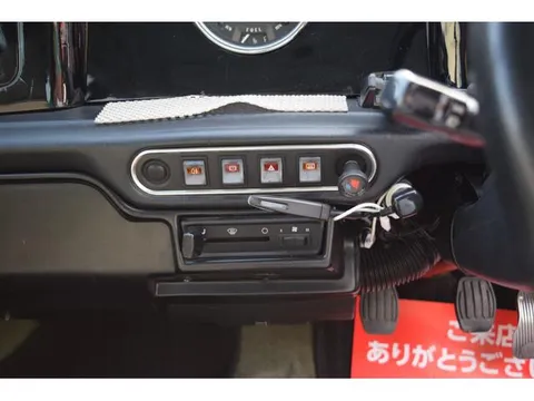 Rover Mini