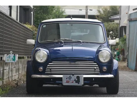 Rover Mini