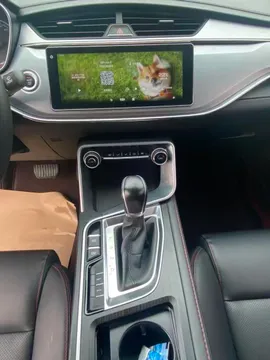 Geely Binrui