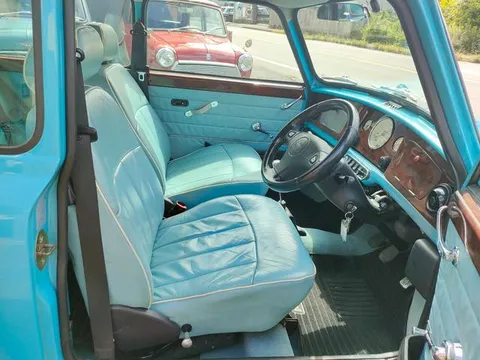 Rover Mini