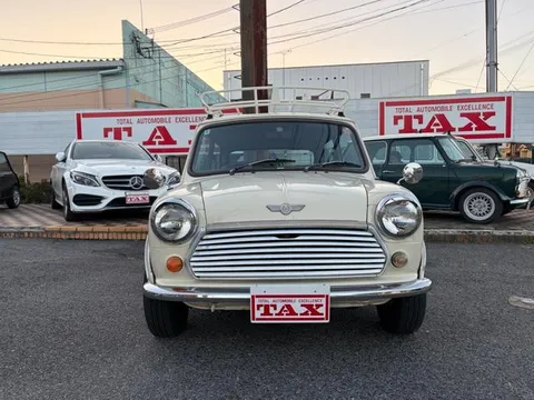 Rover Mini