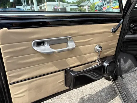 Rover Mini