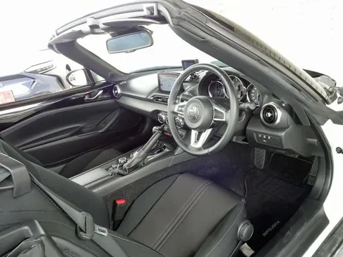 Mitsuoka Rock Star