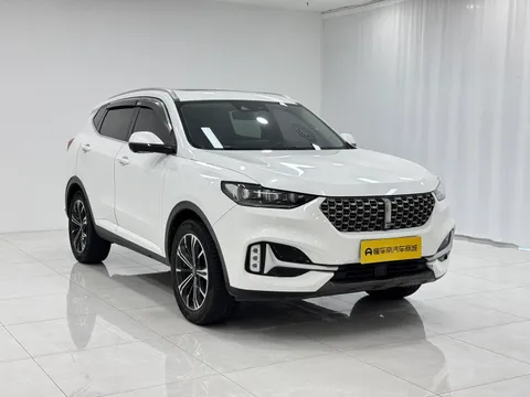 Wey VV6