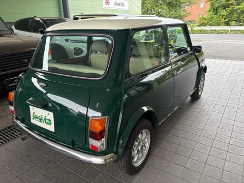 Rover Mini