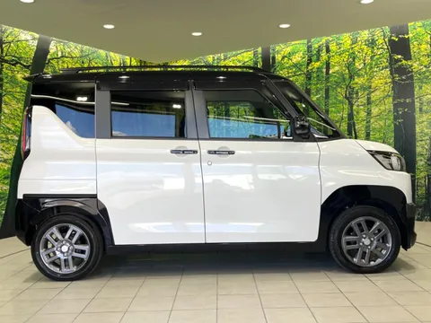 Mitsubishi Delica Mini