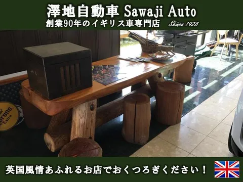 Rover Mini