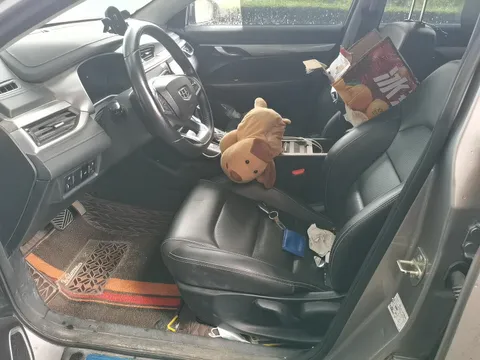 Geely