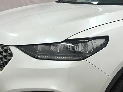 Wey VV6