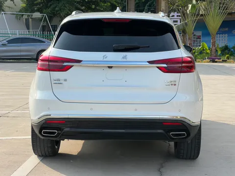 Hongqi HS5