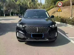 Wey VV6