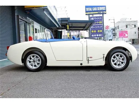 Austin Healey
