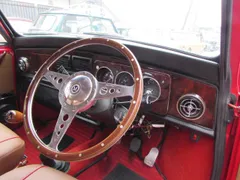 Rover Mini