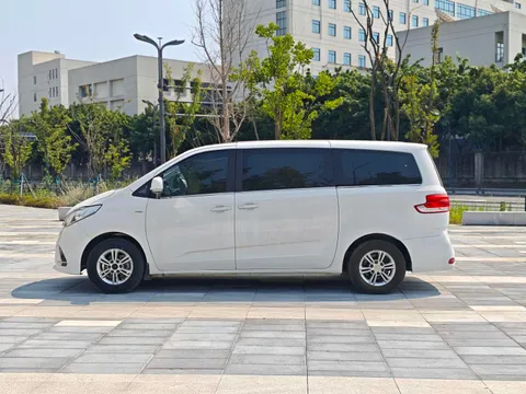 Maxus G10
