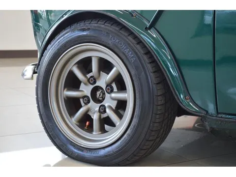 Rover Mini