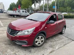 Baojun 310