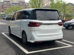 Maxus G20