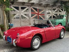 Austin Healey