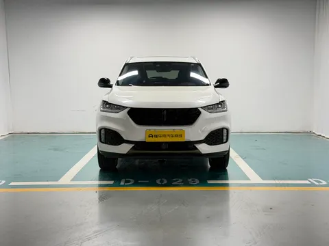 Wey VV6