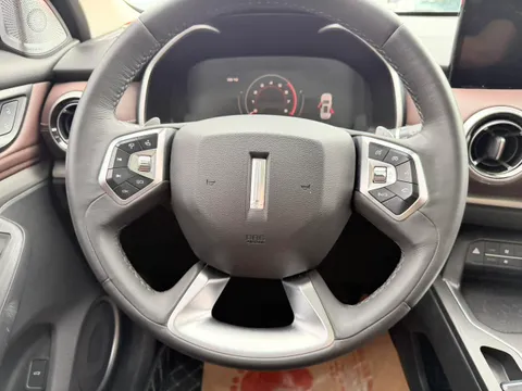 Wey VV6