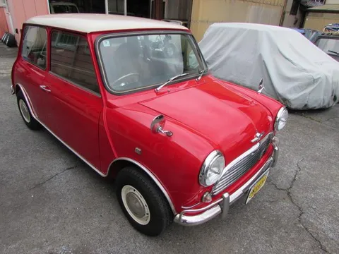 Rover Mini