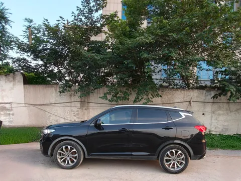Wey VV6