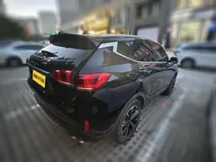 Wey VV6