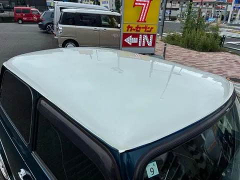 Rover Mini