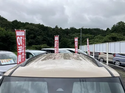Mitsubishi Delica Mini