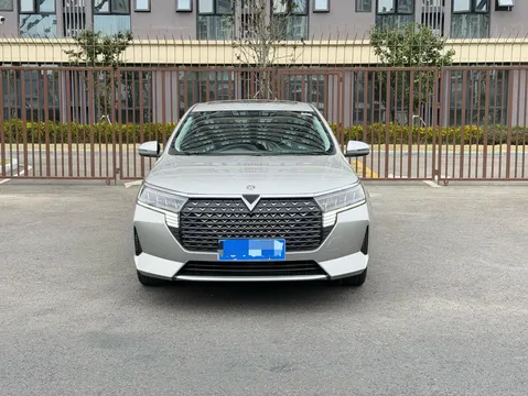 Venucia D60