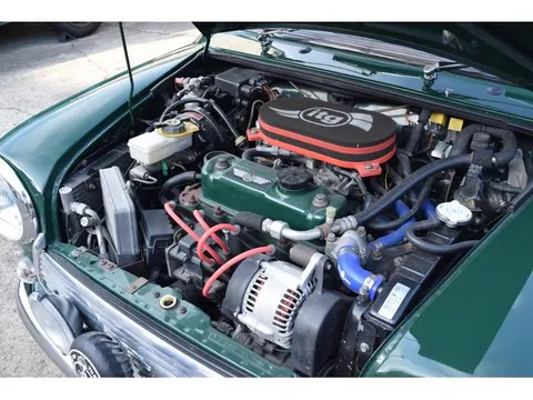 Rover Mini