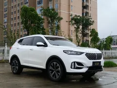 Wey VV6